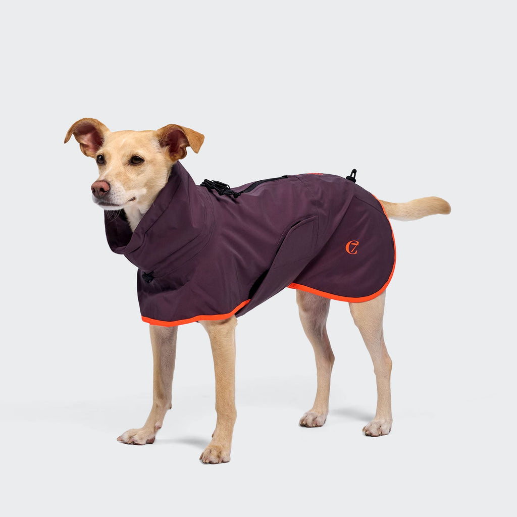 AKTIV Dog Raincoat - Aubergine/Orange, Stylish & Practical