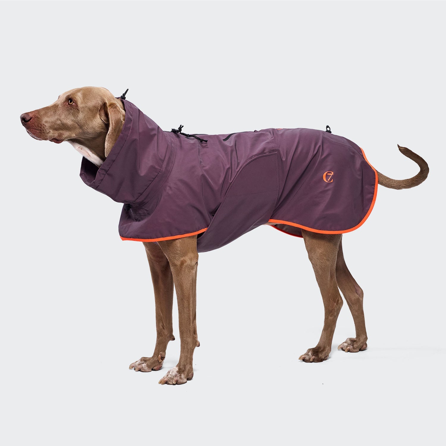 AKTIV Dog Raincoat - Aubergine/Orange, Stylish & Practical