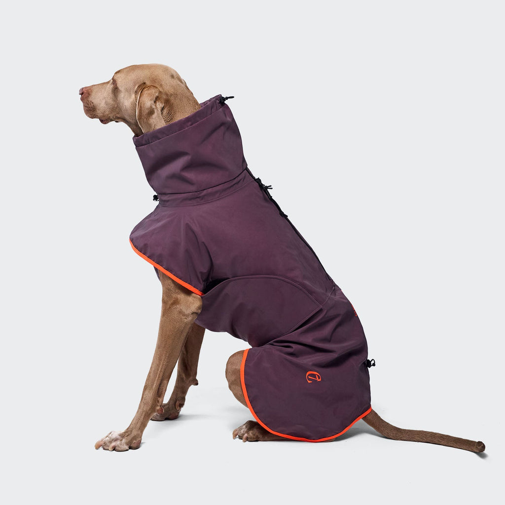 AKTIV Dog Raincoat - Aubergine/Orange, Stylish & Practical