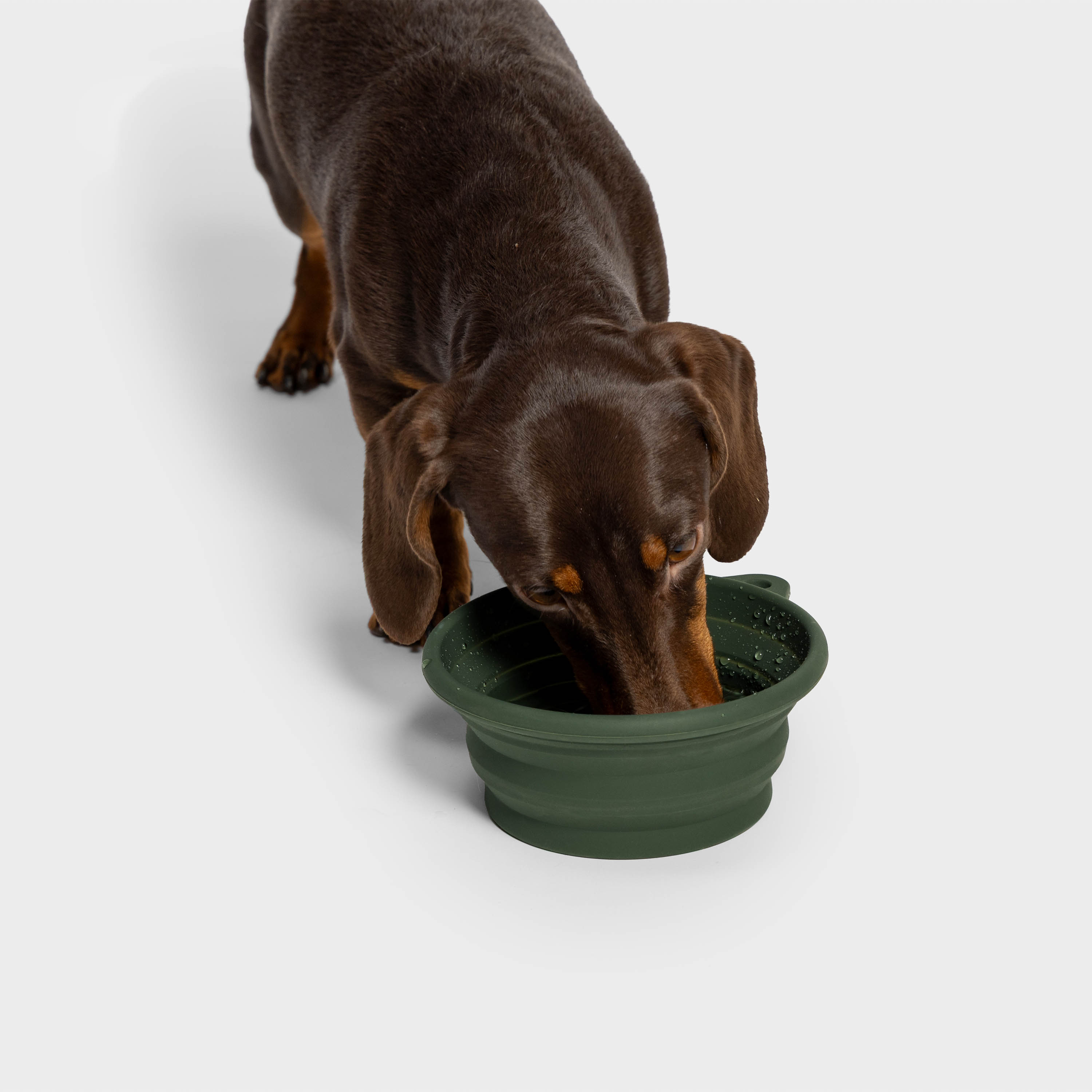 AKTIV Foldable Travel Bowl – Dark Olive, Portable & Lightweight