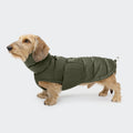 Cozy Dachshund Coat in Alaska Light Olive