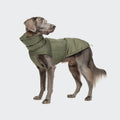 Alaska Light Olive Dog Coat – Cozy, Weatherproof Winter Jacket for Dogs