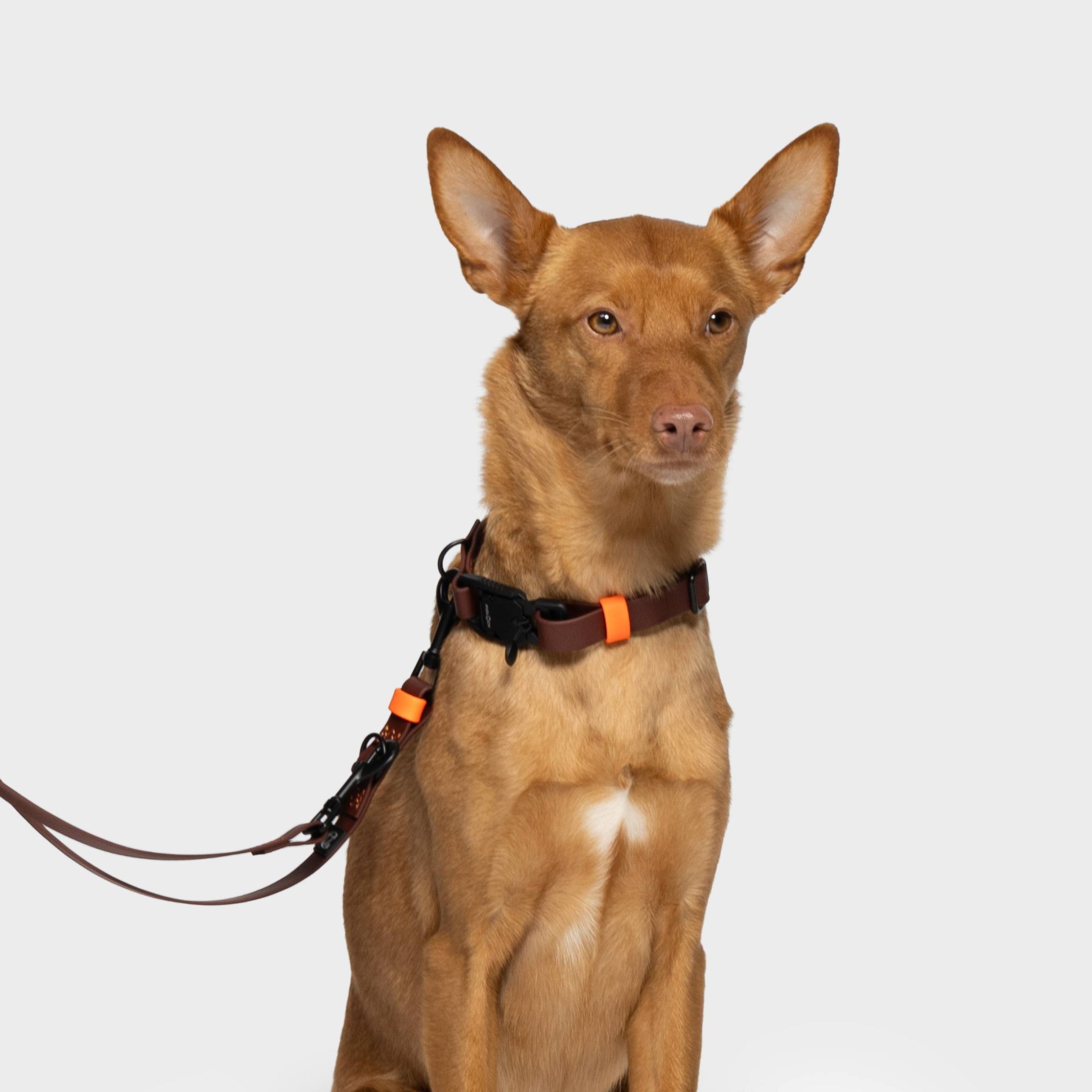 Premium Adjustable Dog Leash - BioThane Ipanema, Dark Aubergine