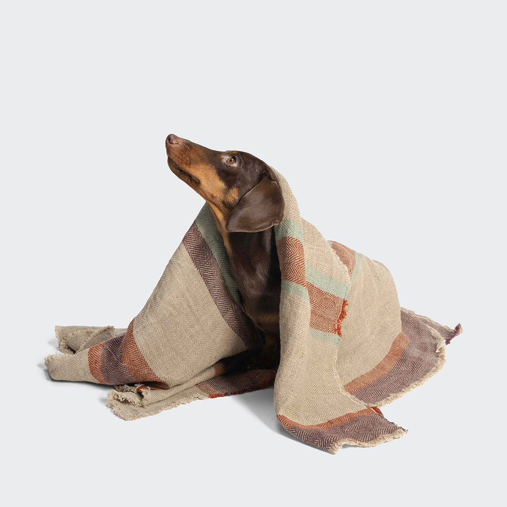 Cozy Linen-Striped Dog Blanket
