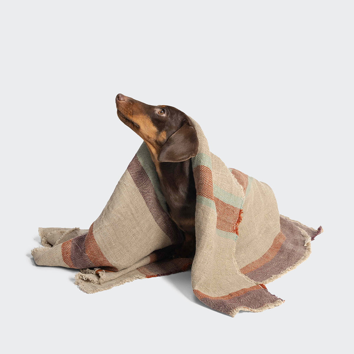 Cozy Linen-Striped Dog Blanket