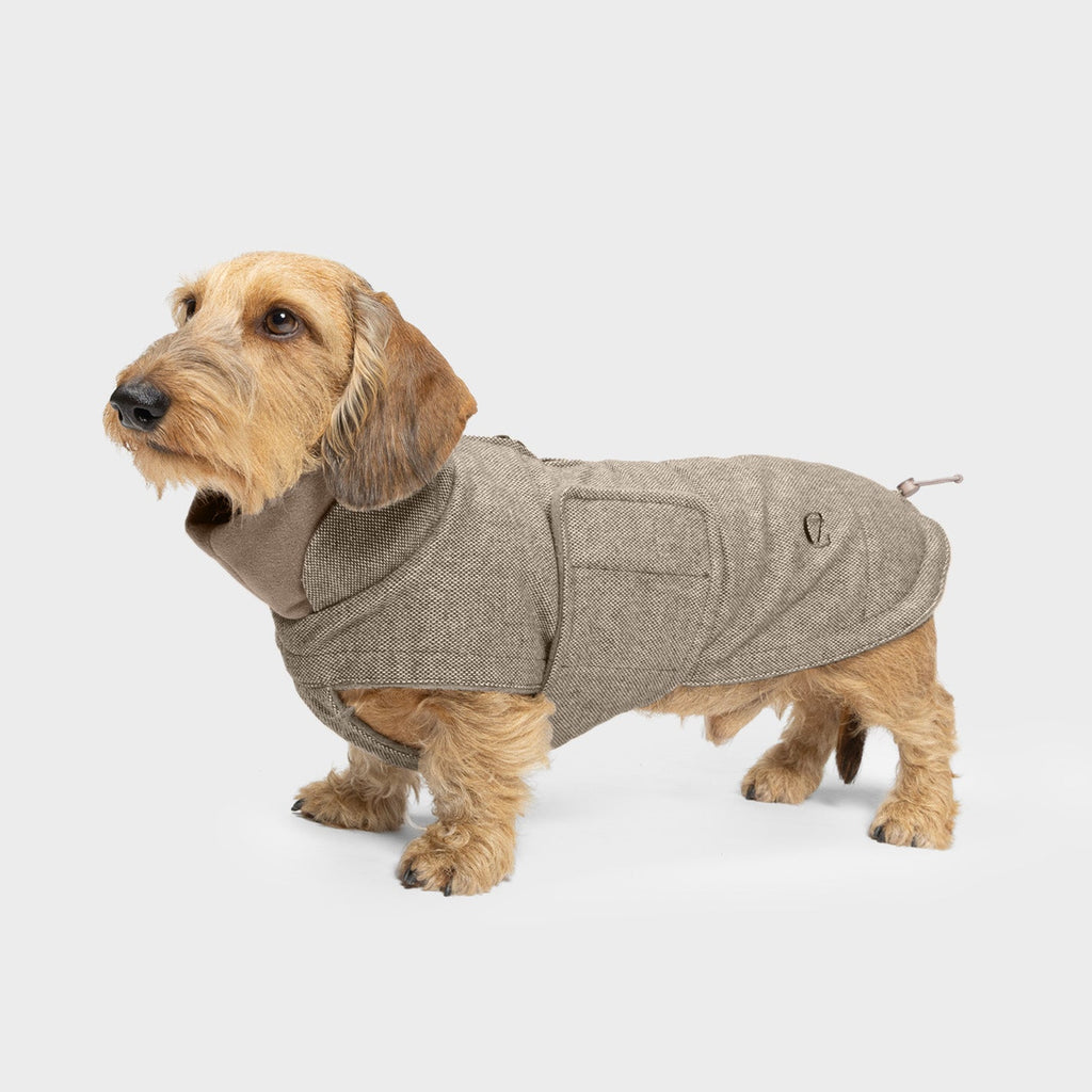 Beige Dachshund Coat by Brooklyn Tweed