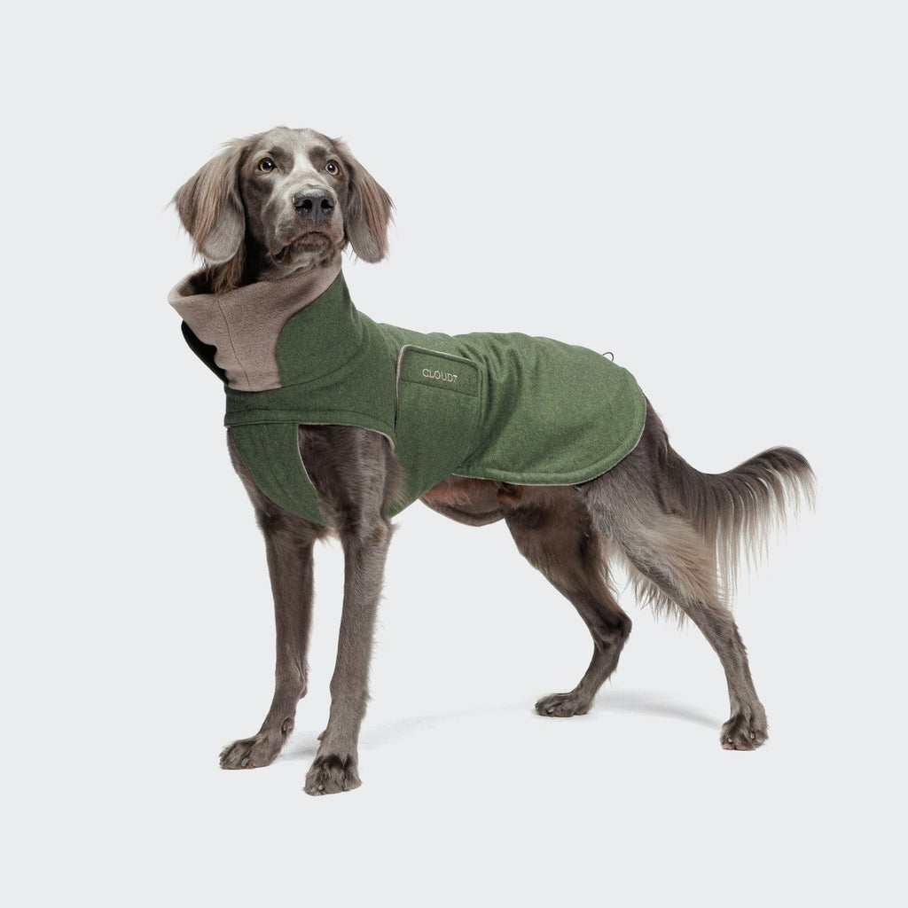 Brooklyn Long-Flannel Dog Coat in Fern Green