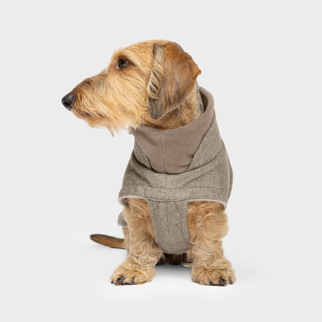 Beige Dachshund Coat by Brooklyn Tweed