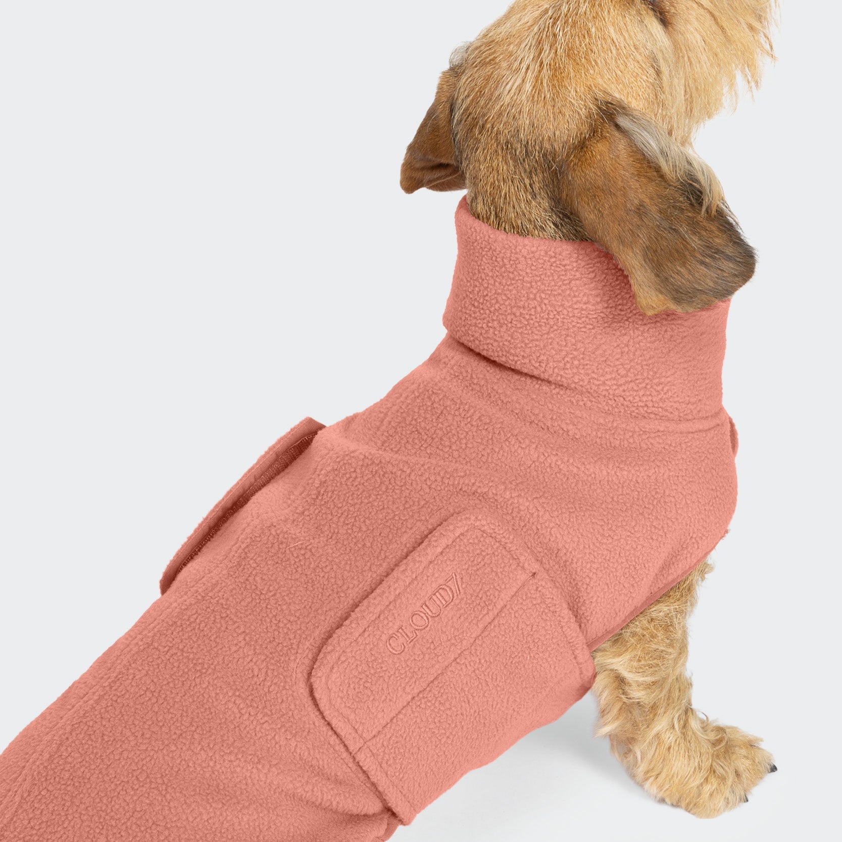 Dachshund Sweater Derby 2.0 in Faded Rose — Cozy Knit for Your Pup