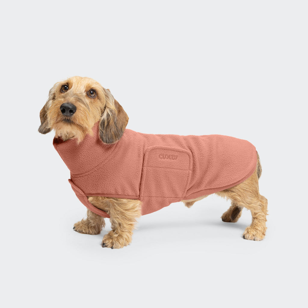 Dachshund Sweater Derby 2.0 in Faded Rose — Cozy Knit for Your Pup