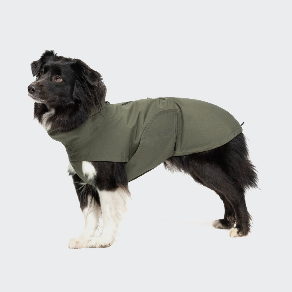Dublin 2.0 Dog Raincoat – Dark Olive