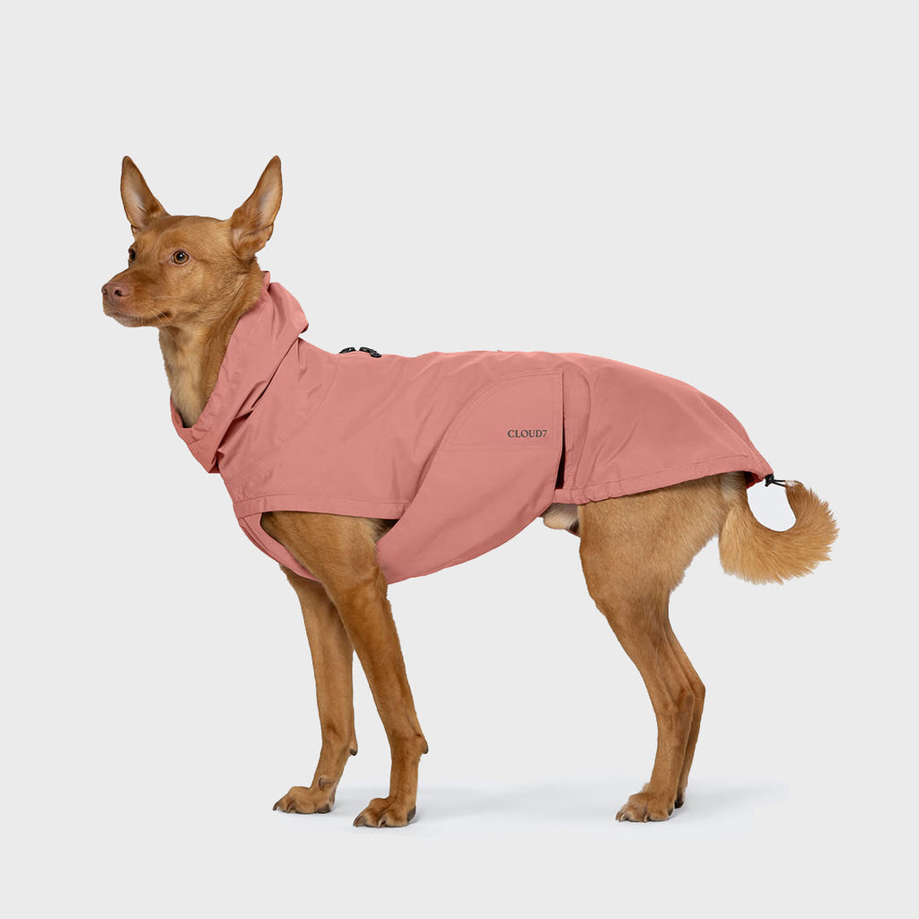 Dublin 2.0 Dog Raincoat in Faded Rose