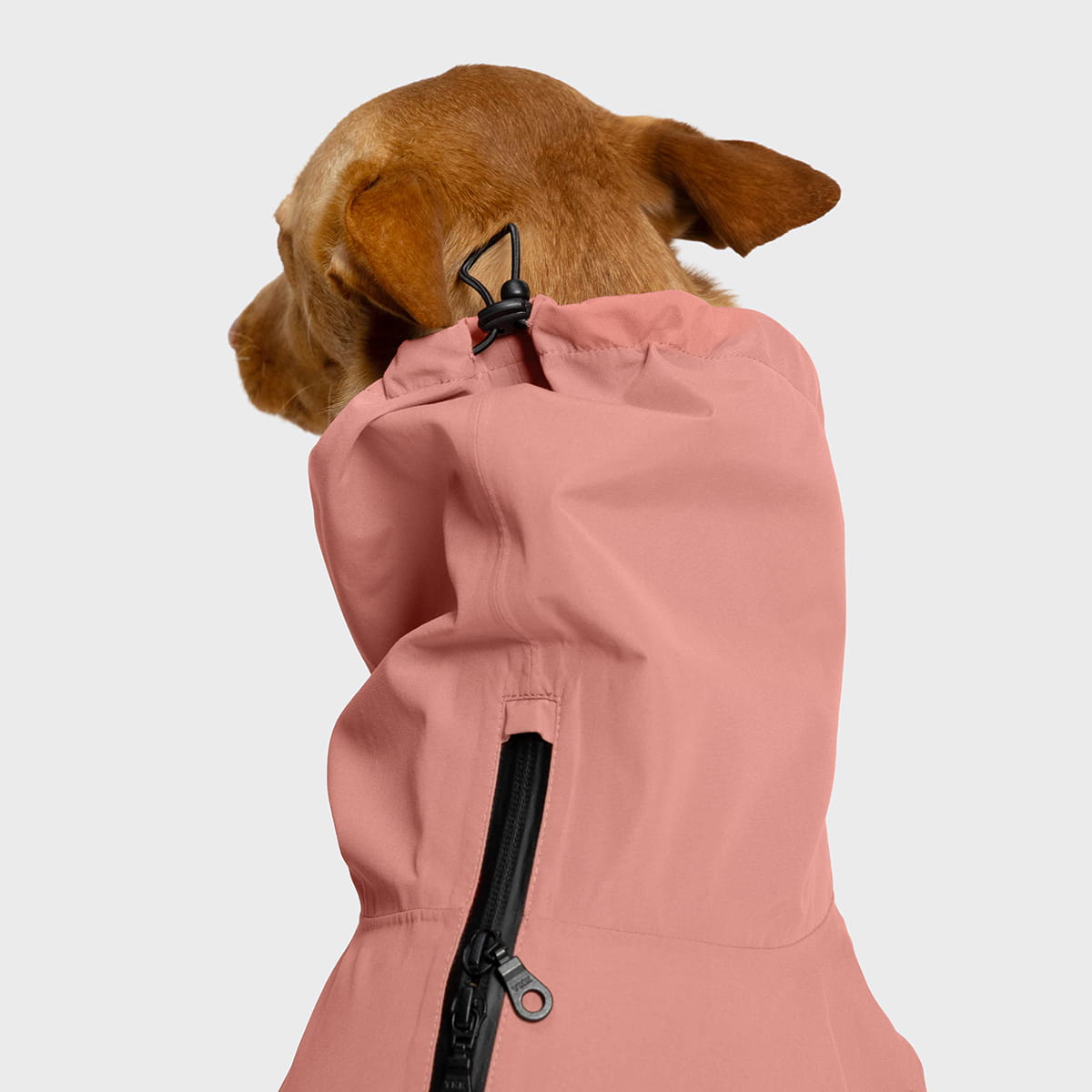 Dublin 2.0 Dog Raincoat in Faded Rose