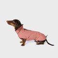 Dachshund Raincoat Dublin 2.0 in Faded Rose