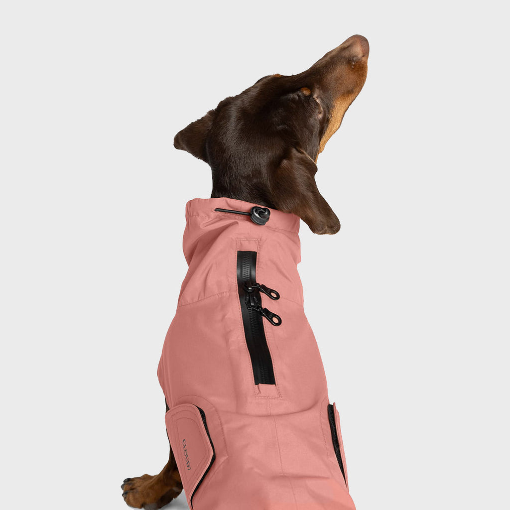 Dachshund Raincoat Dublin 2.0 in Faded Rose