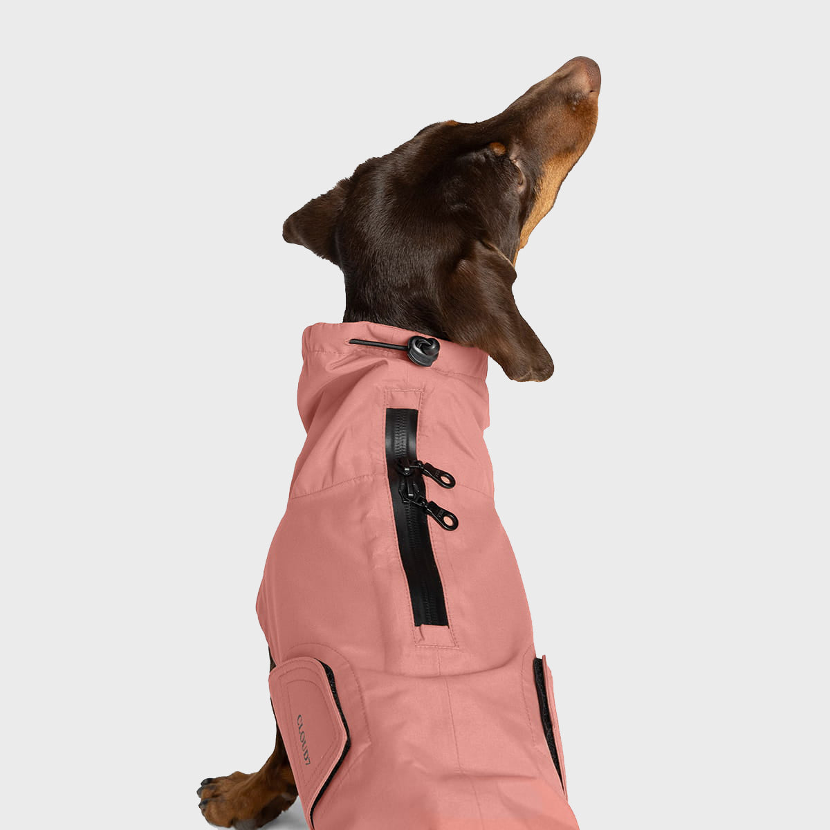 Dachshund Raincoat Dublin 2.0 in Faded Rose