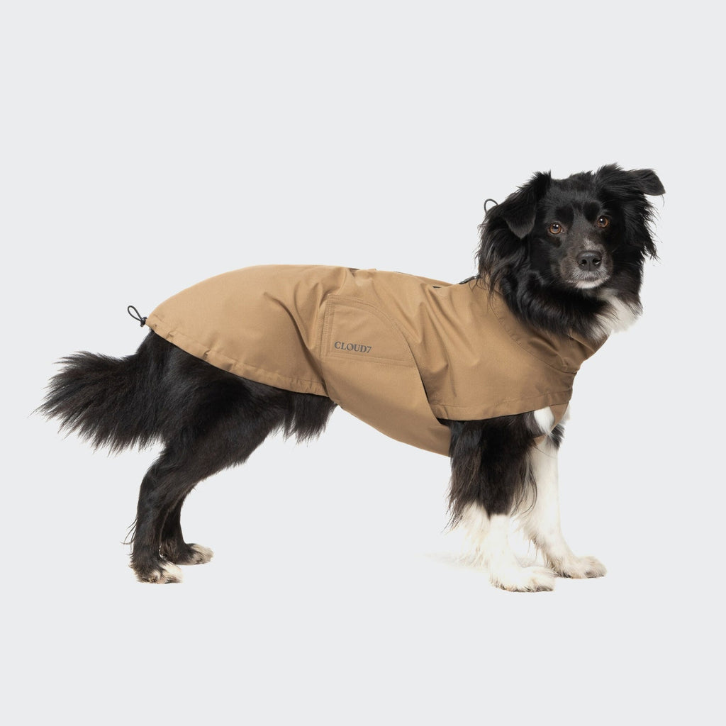 Dublin 2.0 Dog Raincoat in Sandy Brown