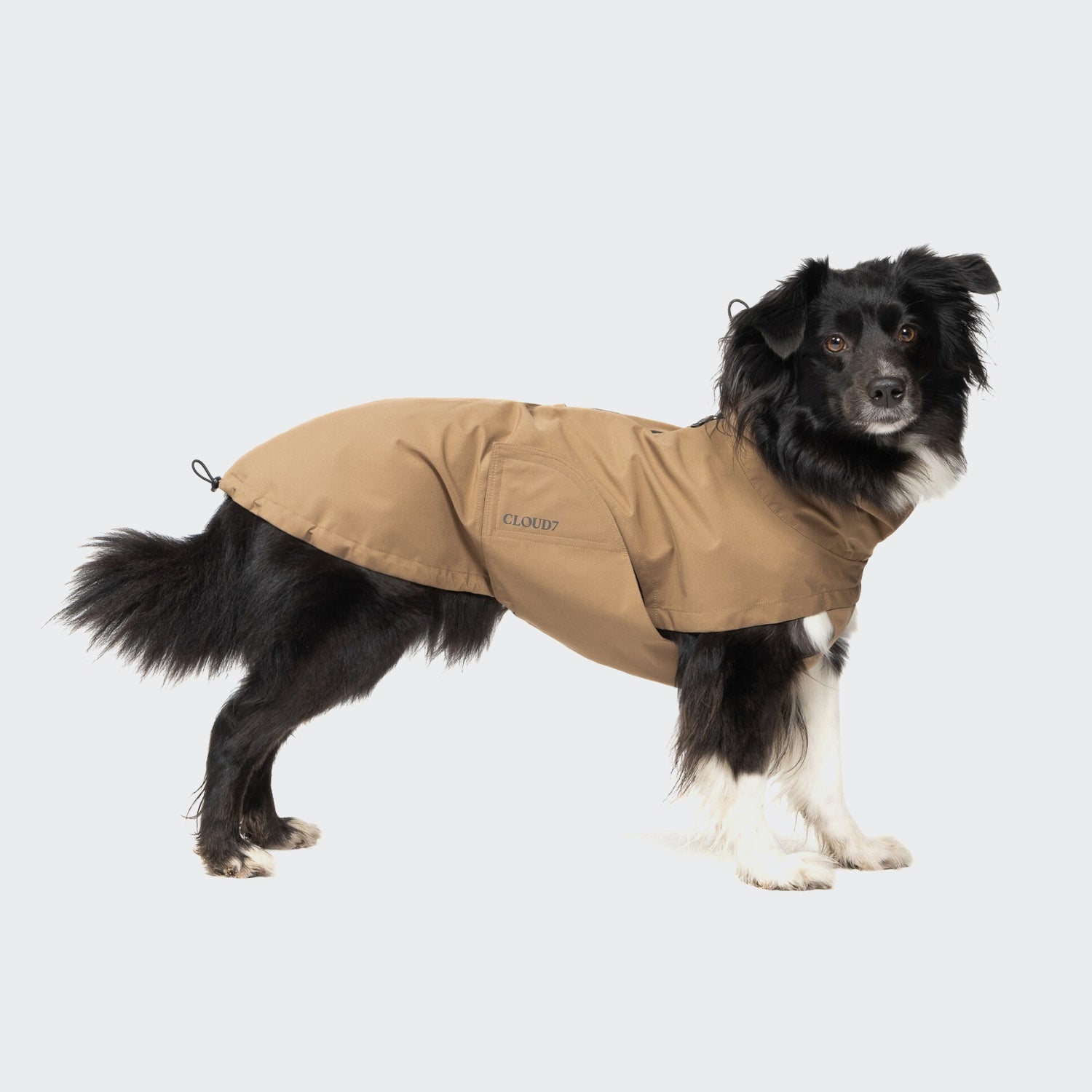 Dublin 2.0 Dog Raincoat in Sandy Brown