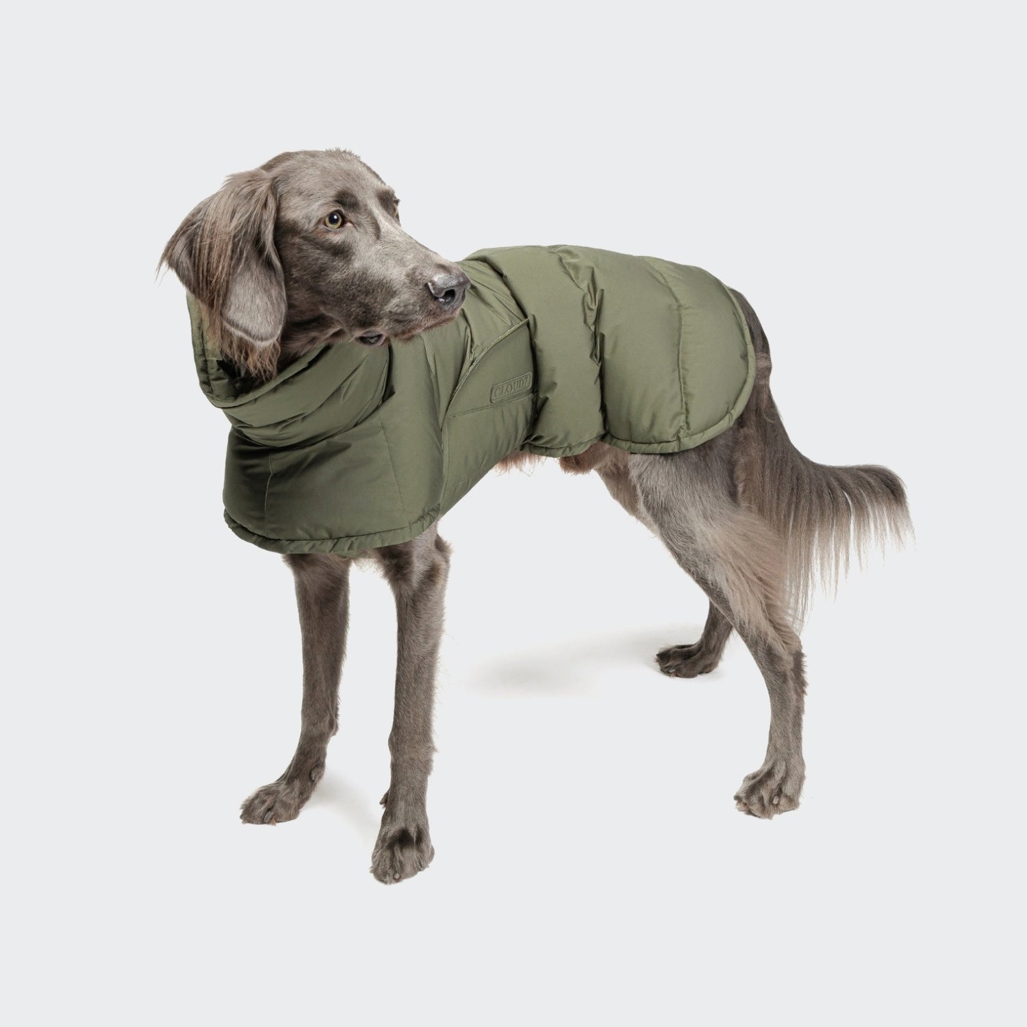 Everest Light Olive Dog Coat