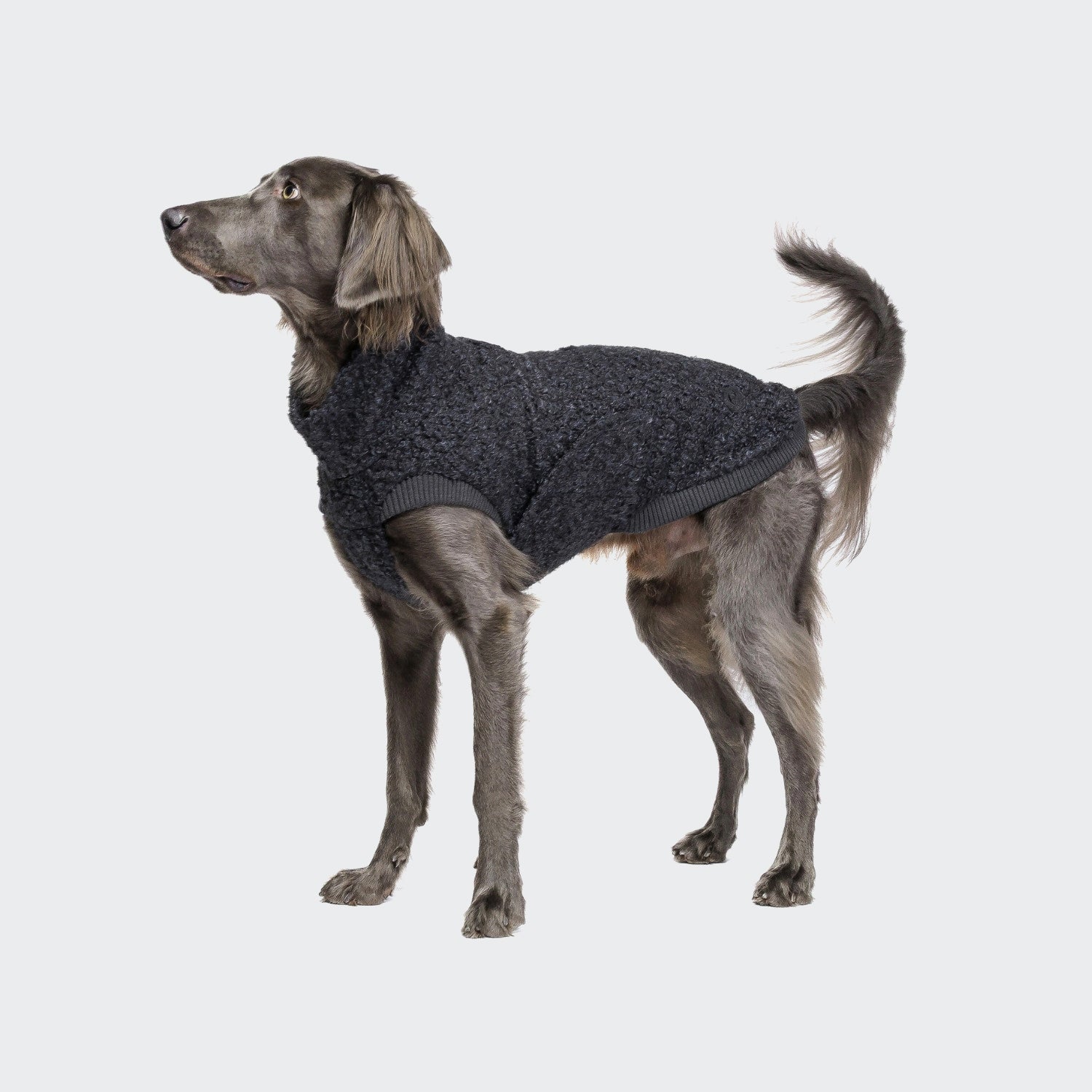 Gotland Anthra Dog Sweater - Cozy Knit