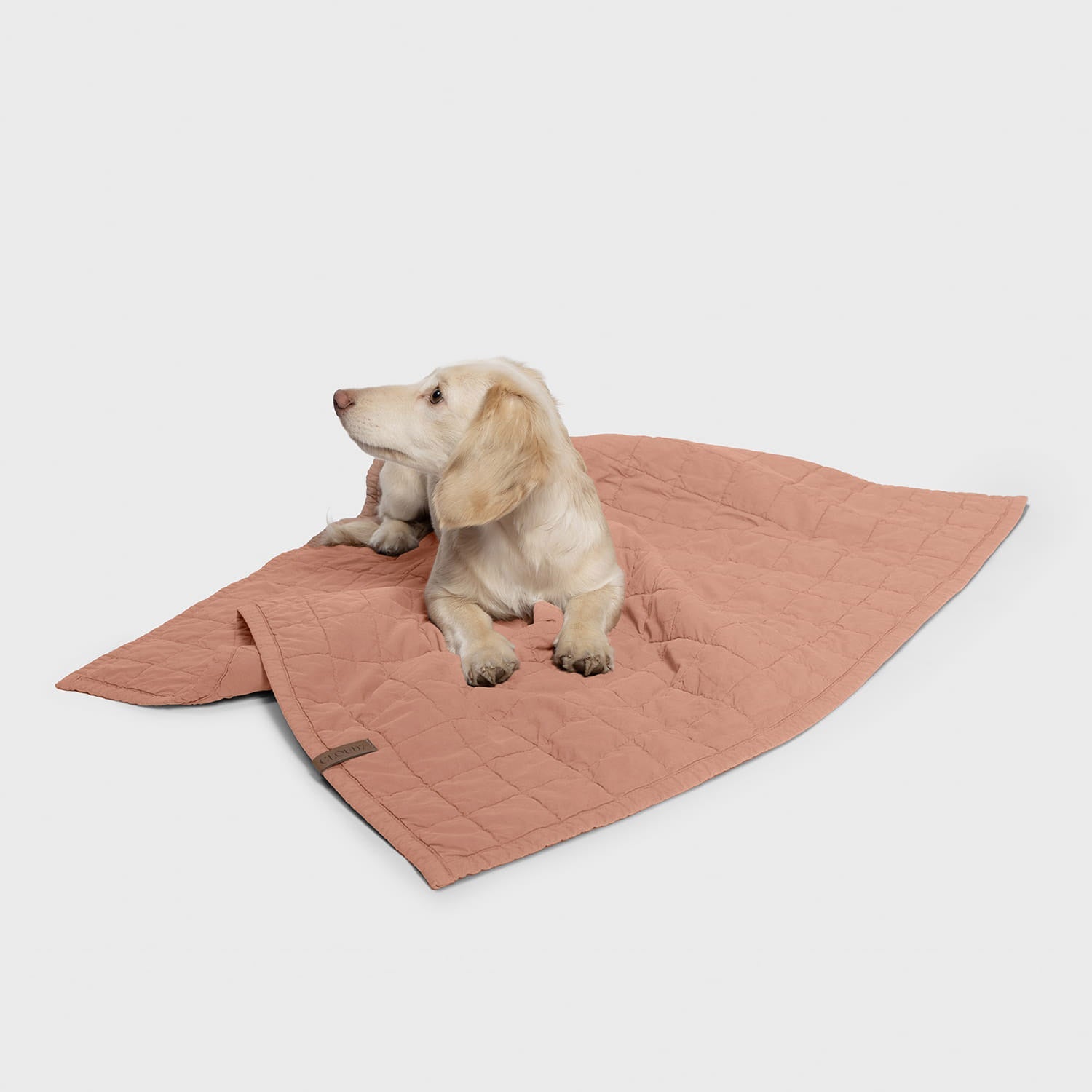 LTTL Dusty Rose Dog Blanket - Plush, Cozy Comfort for Pets