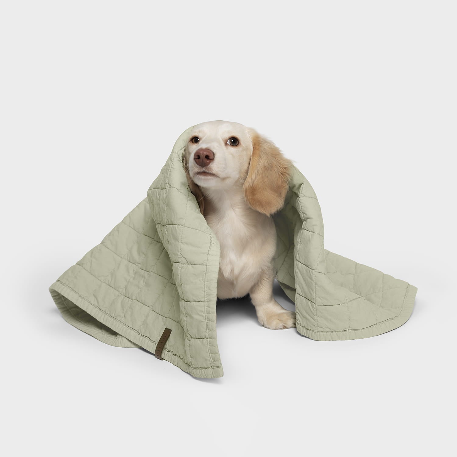 LTTL Faded Moss Dog Blanket - Soft, Cozy Comfort for Pets