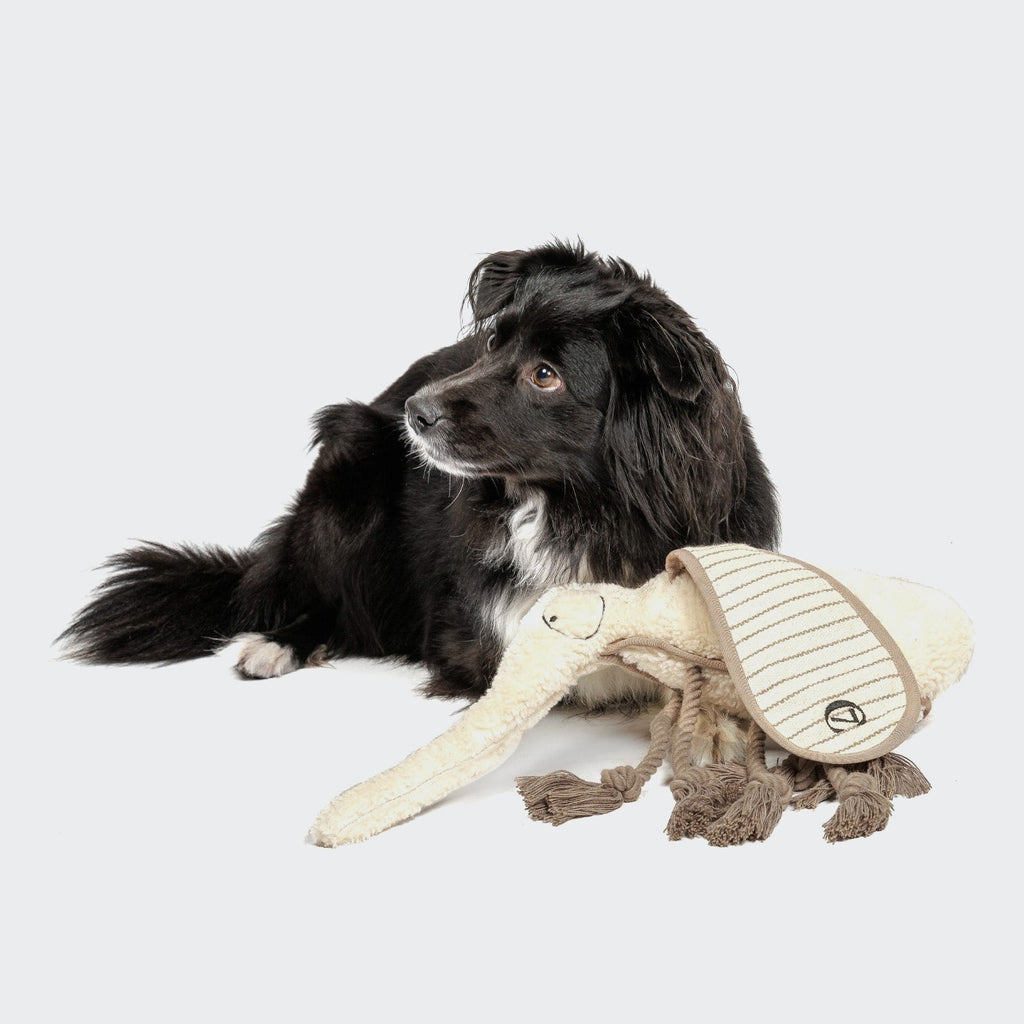 Momo the Mosquito Dog Toy