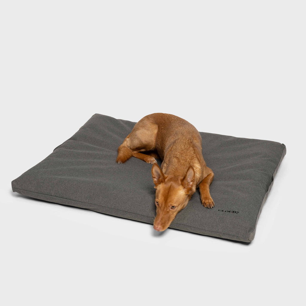 Siesta Light Outdoor Dog Bed – Graphite