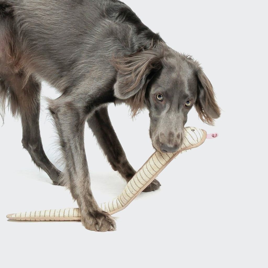 Smilla Dog Toy Snake - Durable Plush Snake Chew Toy for Dogs