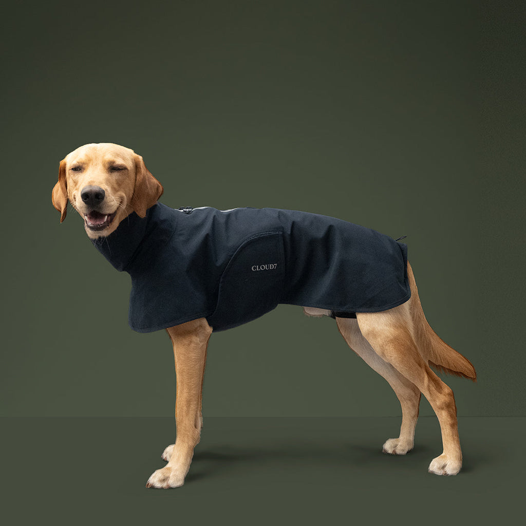 Helgoland Navy Dog Raincoat