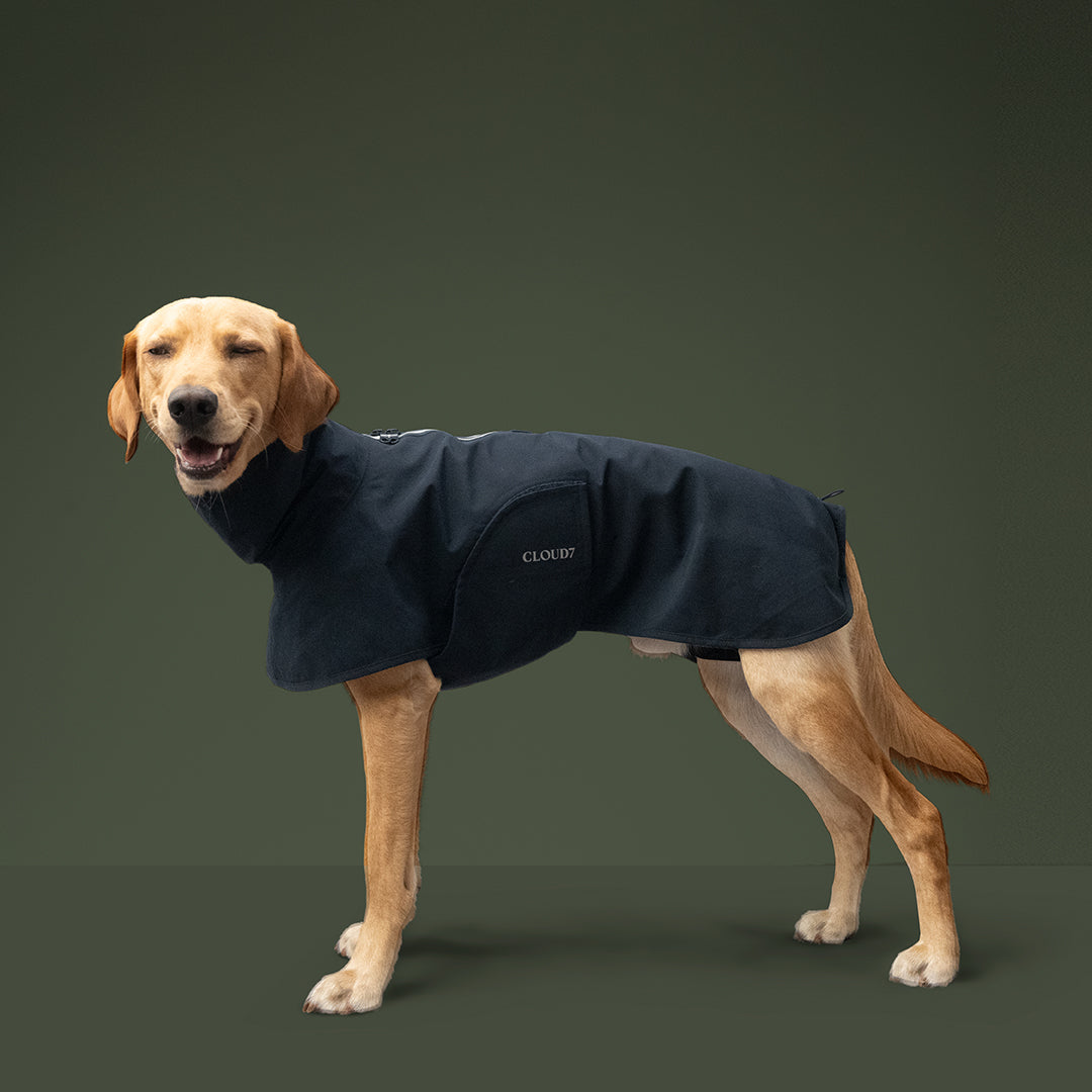 Helgoland Navy Dog Raincoat