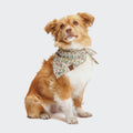 Floral Square Pattern Dog Bandana