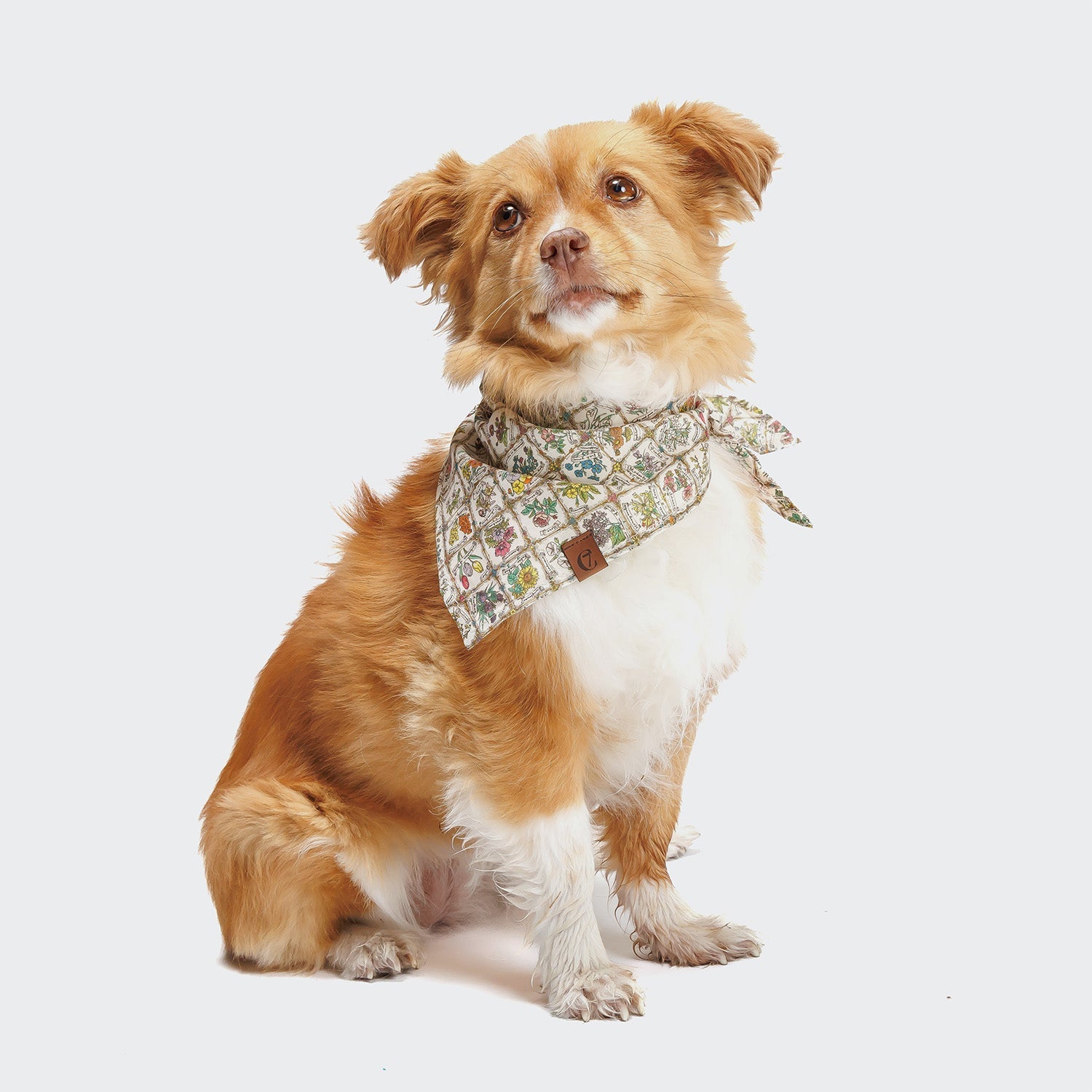 Floral Square Pattern Dog Bandana