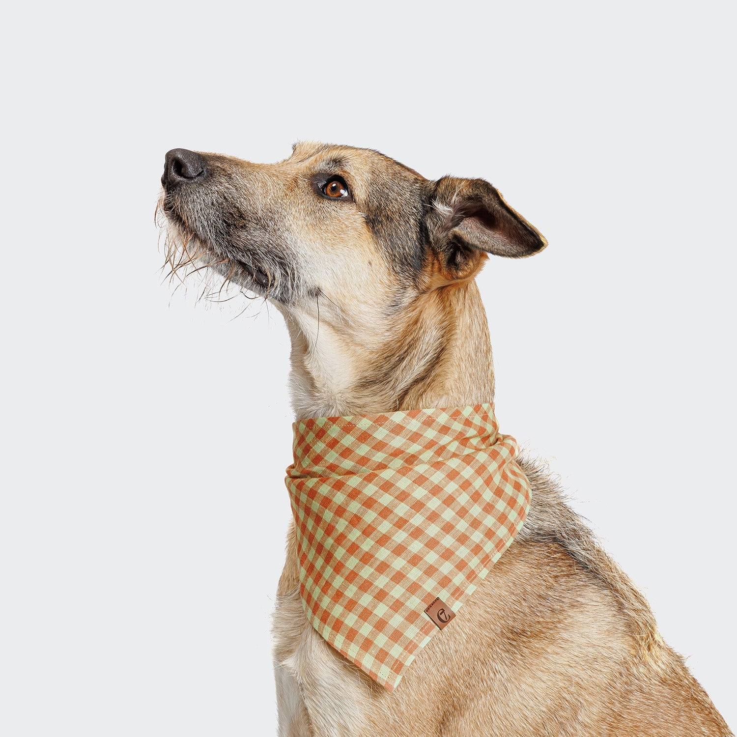 Orange Checkered Dog Bandana - Bright, Trendy Plaid Style for Dogs