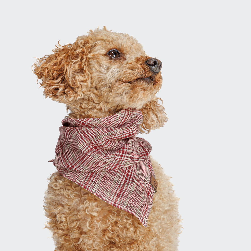 Stylish Red and Light Green Checkered Dog Bandana