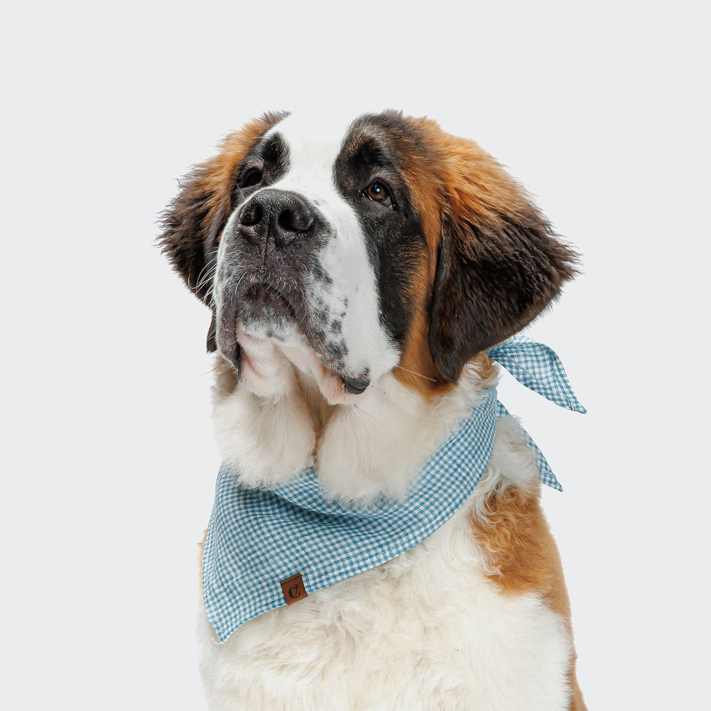 Blue Mini Check Dog Bandana - Cute & Stylish Accessory for Small Dogs