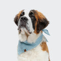 Blue Mini Check Dog Bandana - Cute & Stylish Accessory for Small Dogs