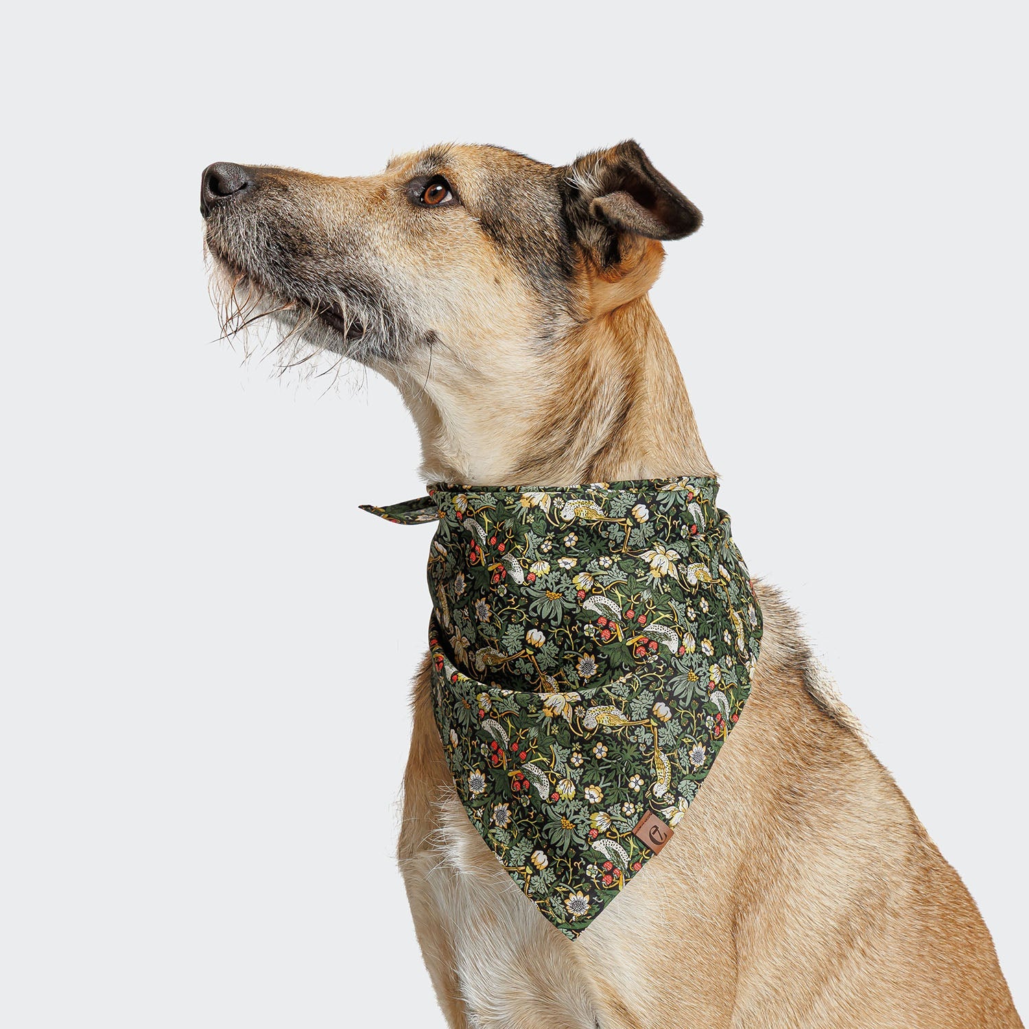 Strawberry Thief Dog Bandana - Adorable Pet Accessory