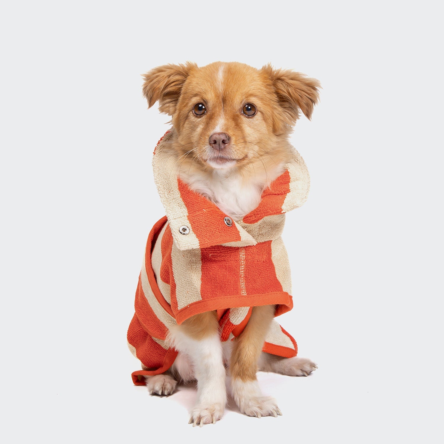 Wannsee Stripes Dog Bathrobe – Soft & Cozy Pet Robe