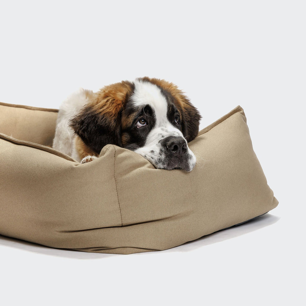 Boost Canvas Beige Dog Bed - Cozy, Durable Comfort