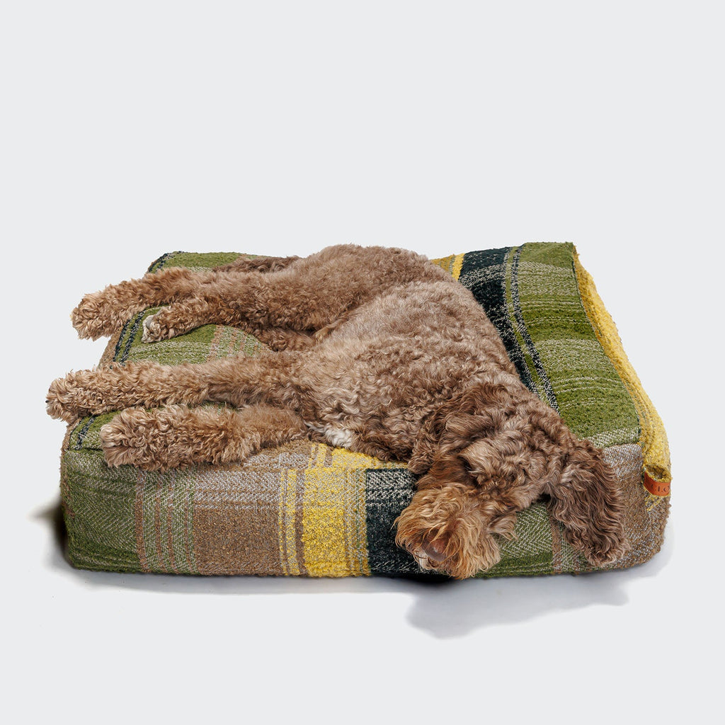 Cube-Style Dog Bed in Green Tartan