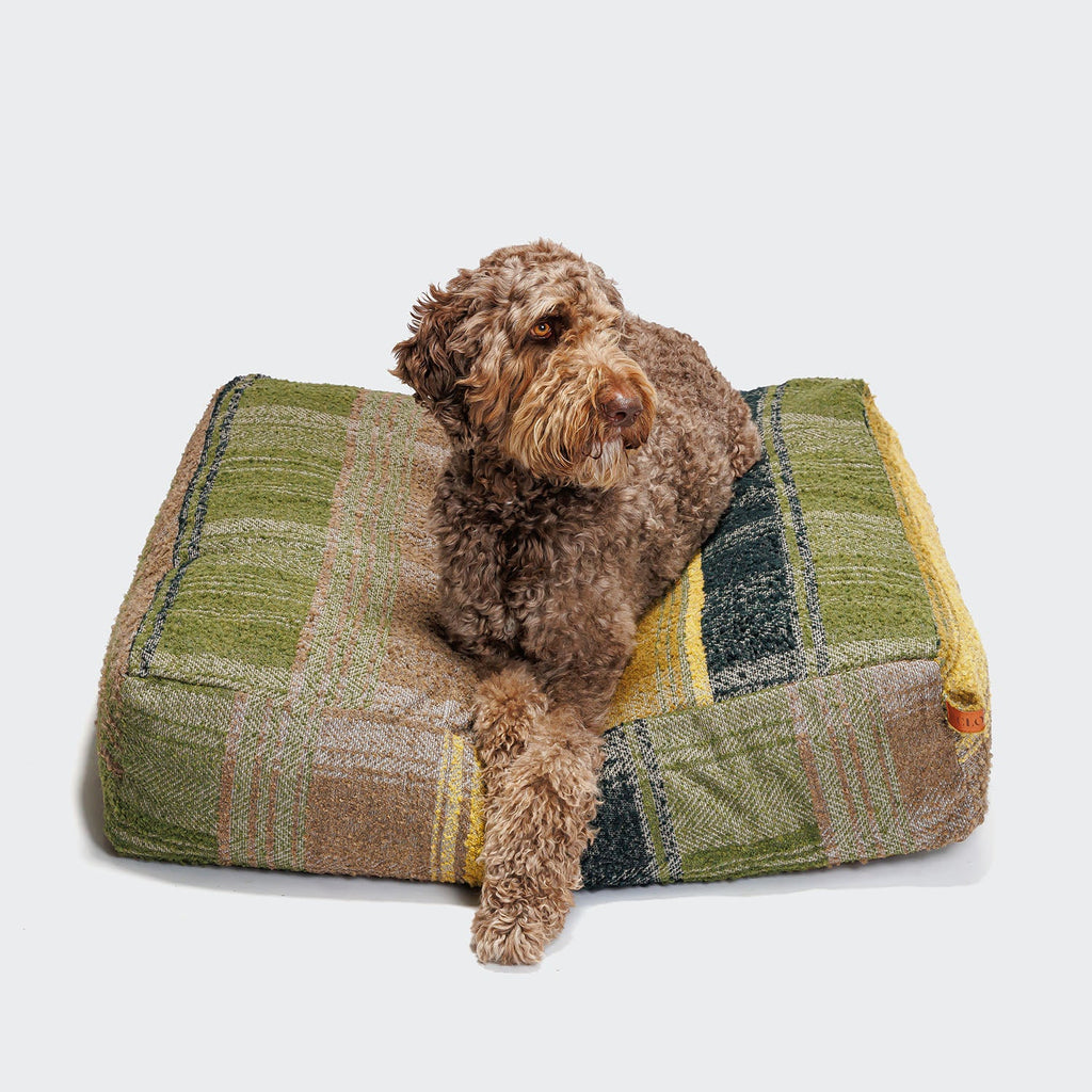 Cube-Style Dog Bed in Green Tartan