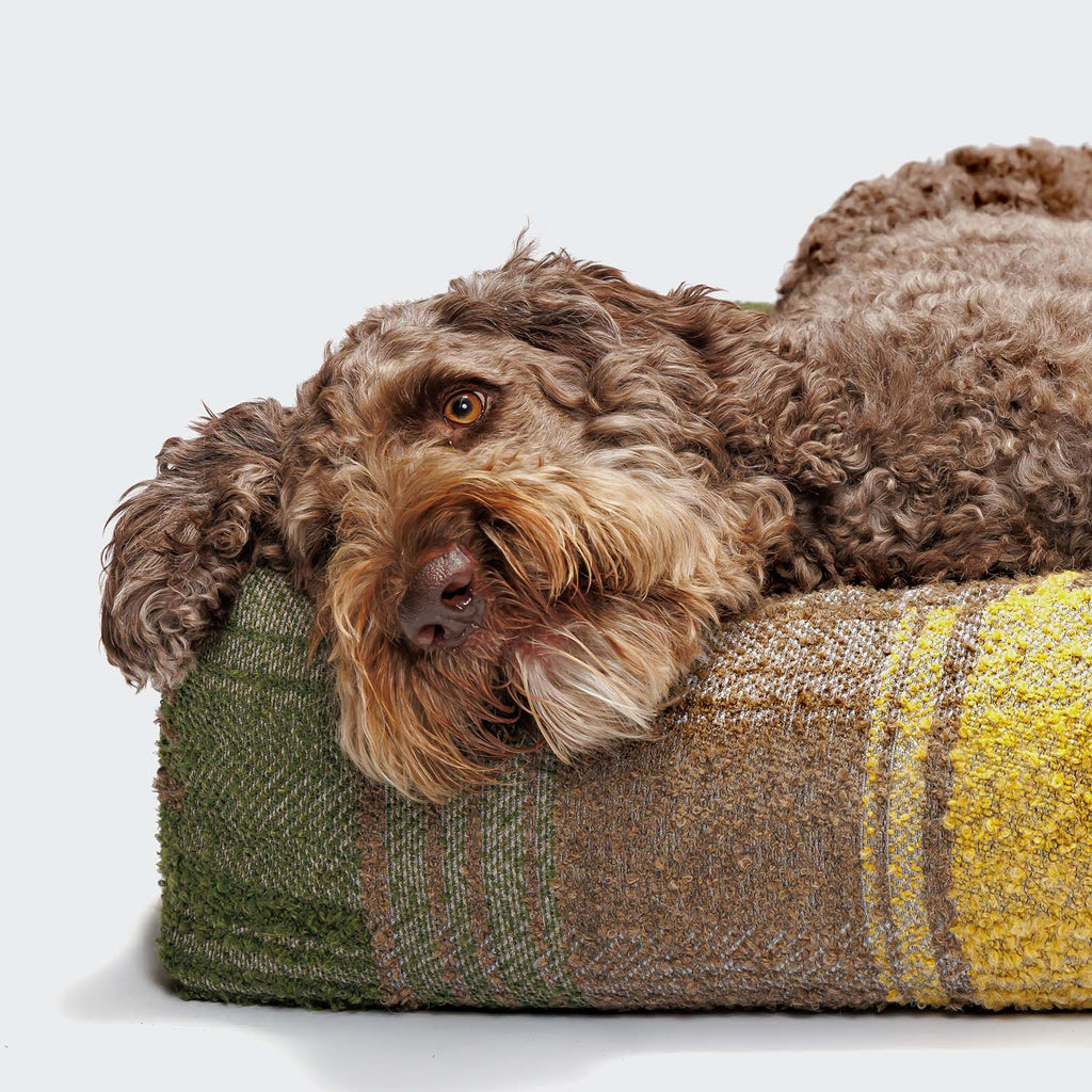 Cube-Style Dog Bed in Green Tartan