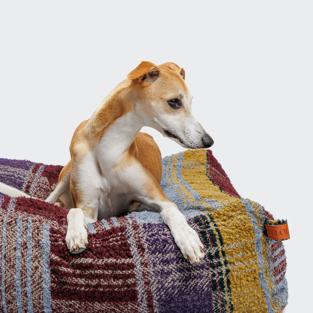 Cozy Purple Tartan Cube Dog Bed