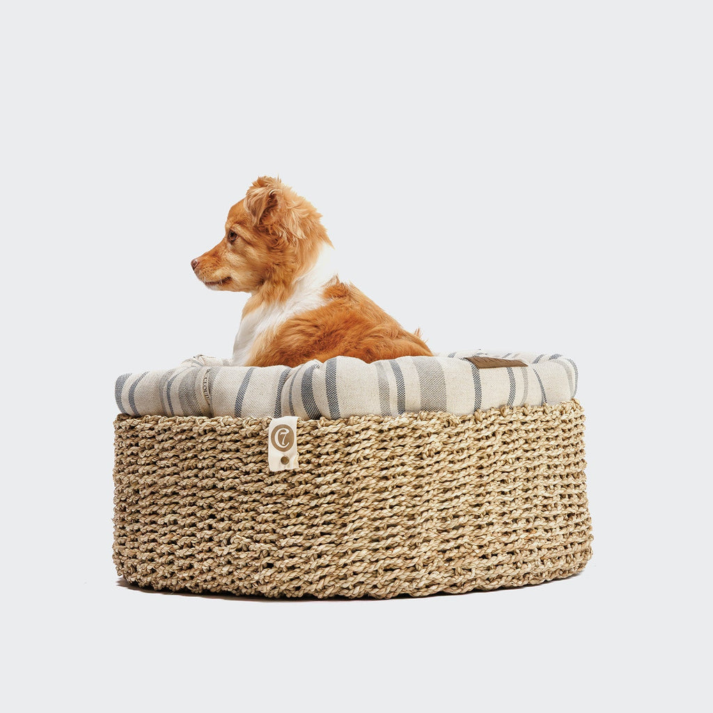 Cozy Linen Striped Dog Basket - Natural/Blue