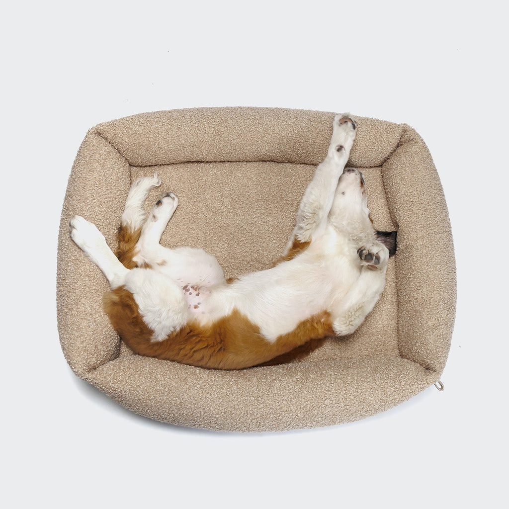Sleepy Deluxe Curl Cream Dog Bed - Plush, Cozy Comfort for Your Pup
