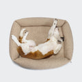 Sleepy Deluxe Curl Cream Dog Bed - Plush, Cozy Comfort for Your Pup