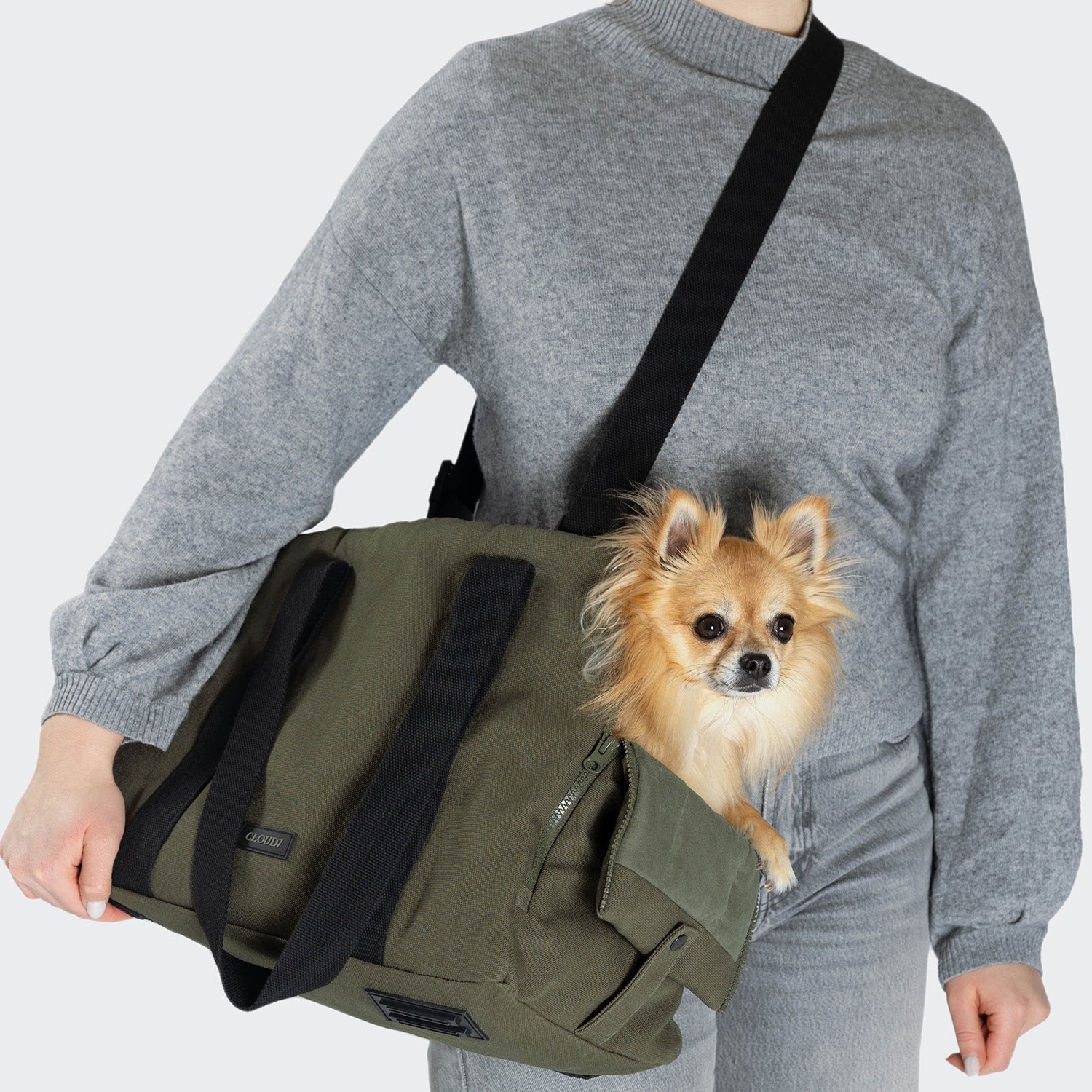 Turin Canvas Dog Carrier in Olive