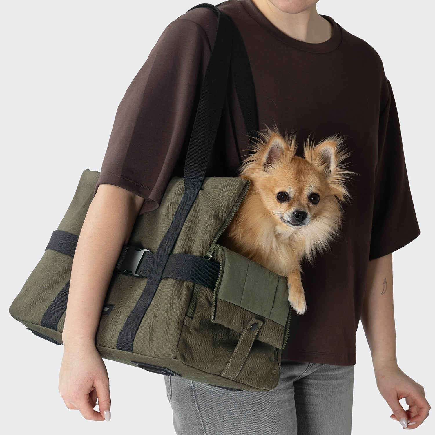 Turin Canvas Dog Carrier in Olive