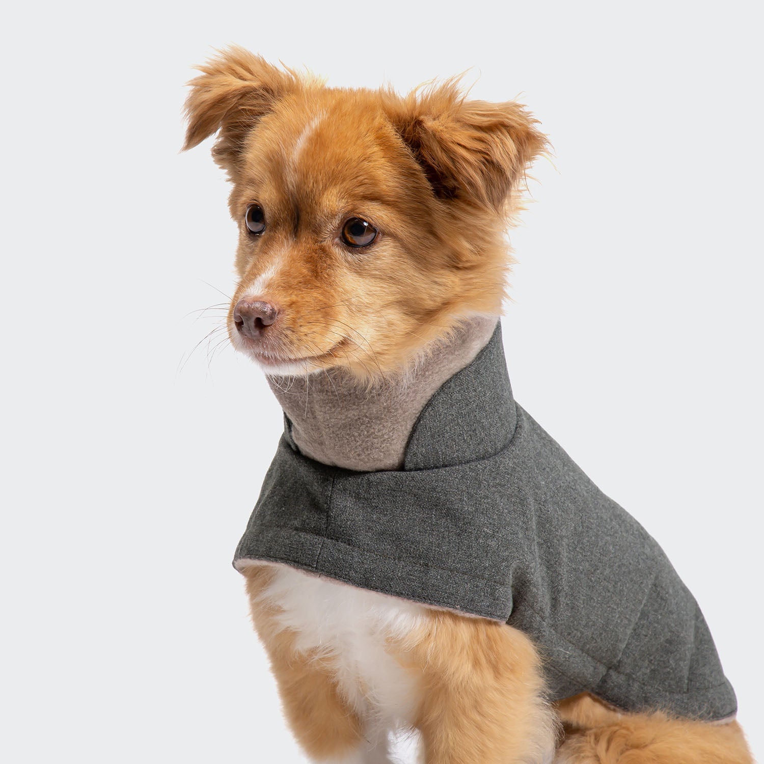 Brooklyn Lightweight Graphite Dog Coat - Stylish & Warm